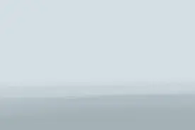 全球连线｜“捡”企鹅的人图片