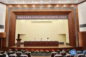 凤岗今年将打造三个特色精品村图片