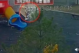 小区内流浪狗连咬2小孩，物业：没办法，找不到主人，引网友讨论图片