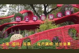 上海（国际）花展 ：花开满城 处处皆景视频封面