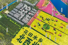 北西尚第四届“醉美油菜花节”开幕！百亩花田等您来打卡图片