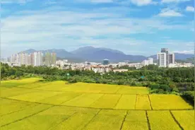 重磅！深汕检察院出台工作意见！全力助推乡村振兴图片