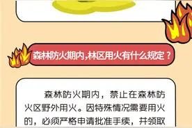 图解：森林火险预警信号分哪几个等级？图片