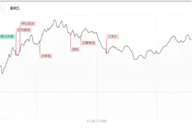 「每日收评」次新妖股14连板！高位板块轮番补跌 科技股连续走强图片