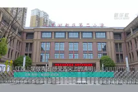 江西：学做青团 感受舌尖上的清明视频封面