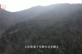 基层护林员的一天：背30斤重装备巡逻18小时，用警惕换来森林安宁图片