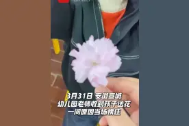 童言无忌！幼儿园小朋友清明采花送老师，老师：当时心里咯噔一下图片