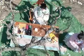 返乡的年轻人｜让百年梨园开新花视频封面