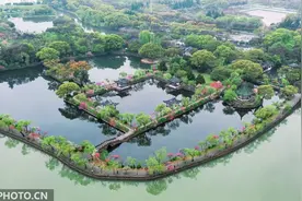 江苏无锡：桃花朵朵开 最美江南景图片