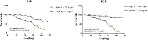 “IP”也会被感染，你get了吗？