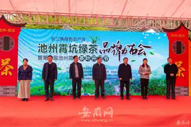 池州霄坑绿茶正式开园！贵池着力打造“霄坑绿茶”等区域公用品牌图片