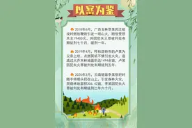 烧冥币、放鞭炮、“夺命”风筝线……清明期间切莫“惹火”上身图片