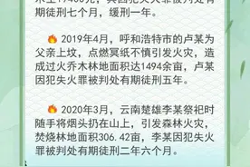 烧冥币、放鞭炮、“夺命”风筝线……清明期间切莫“惹火”上身图片