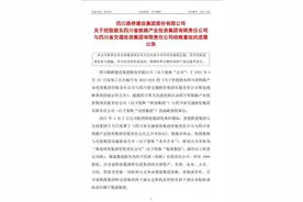 定了！四川新万亿级国企名字出炉：蜀道集团图片