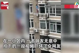 男子在家无意拍下对面楼女子擦玻璃，拉近一看瞬间胆战心惊图片