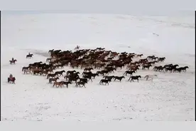雪落山丹马场视频封面