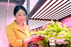 福州有位“拿锄头的女科学家”图片