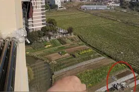 打开窗就见坟地，上海青浦有村民自留地内建墓冢惹投诉图片