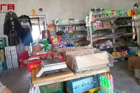 探访宠物墓地：三年前“人气”墓园今已“荒废”，宠物“后事”谁来规范管理？图片