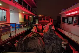 1000余只野生甲鱼重归大自然！上海警方侦破一起非法捕捞水产品案图片