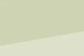 90%的女明星，都对“踏青绿”上了头图片