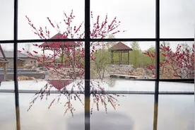 临淄区金山镇“一村一品”抱团“出征”“边河味道”体验馆即将与市民见面图片