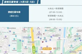 减少拥堵！市民乘公交到安贤园扫墓，下车即可领青团图片