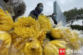 南京两年4.1万人选择生态葬 隐龙山墓园举行集体公祭图片