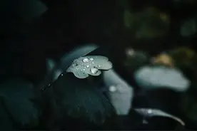 清明时节雨纷纷，长三角这四地传统美食来几份图片