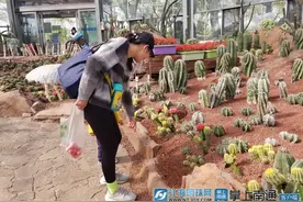 清明踏青好时节 南通绿博园成热门打卡地图片