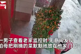 全家回城男子打开老家监控，看到伯母将刚摘蔬菜放门口，瞬间鼻酸图片