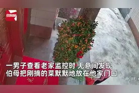 全家回城男子打开老家监控，看到伯母将刚摘蔬菜放门口，瞬间鼻酸图片