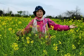 广东非遗保护专家：广府清明扫墓称拜山，甘蔗等供品含好意头图片