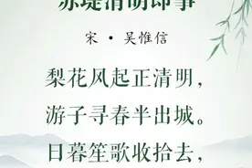清明•诗节丨微雨落清明，思念最绵长图片