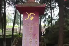 红军墓碑上党徽倒悬的特殊含义视频封面