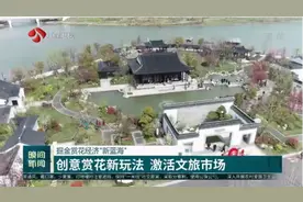 江苏：以花为媒，做强花经济！创意赏花新玩法，激活文旅市场视频封面