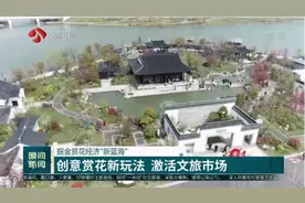 江苏：以花为媒，做强花经济！创意赏花新玩法，激活文旅市场视频封面