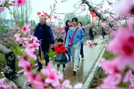 河北邯郸：千亩桃花绽放 引来众多游人图片