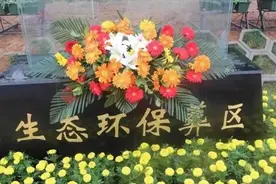 不留骨灰不留墓碑不花钱，生态葬正在悄悄“流行”图片