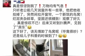 杭州小夫妻往窗外一看太意外：突然来了新“邻居”，还每天有惊喜图片