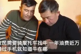 新疆牧民在家用北斗放牛，网友为BBC“连夜赶稿”图片