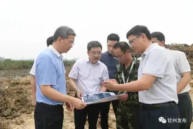 王雄昌带队调研生态环境问题整改落实情况图片