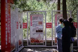 清明小长假第二天，近65万人逛北京市属公园！这三家游客量最多图片