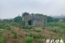 5年来南京方山附近已发现7座碉堡，学者呼吁尽快纳入文保范围图片