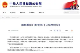 重磅！初犯、偶犯或可免罚！“毒驾”“代扣分”拟重罚！《道路交通安全法》要修改了图片