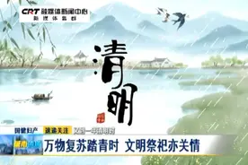 清明节：鲜花一束表心意，文明祭祀亦关情图片