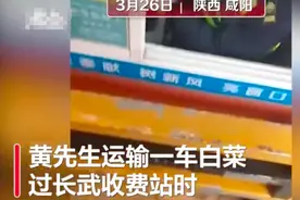 男子运17吨白菜被收1166元过路费？工作人员：肉眼看的不新鲜图片