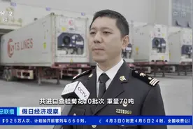 清明节菊花热销，安娜菊、乒乓菊、寇菊超抢手！单枝零售价格翻倍图片