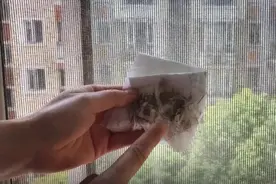 纱窗脏了不用拆下来洗，教你一招，省事又方便图片