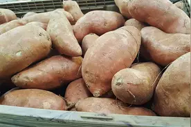 这些食物吃得过多，容易胀气！做好三点，肠道通畅图片